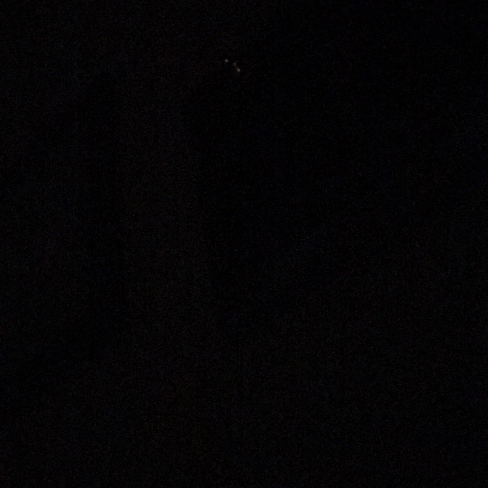 Meet your Posher, Kelsi